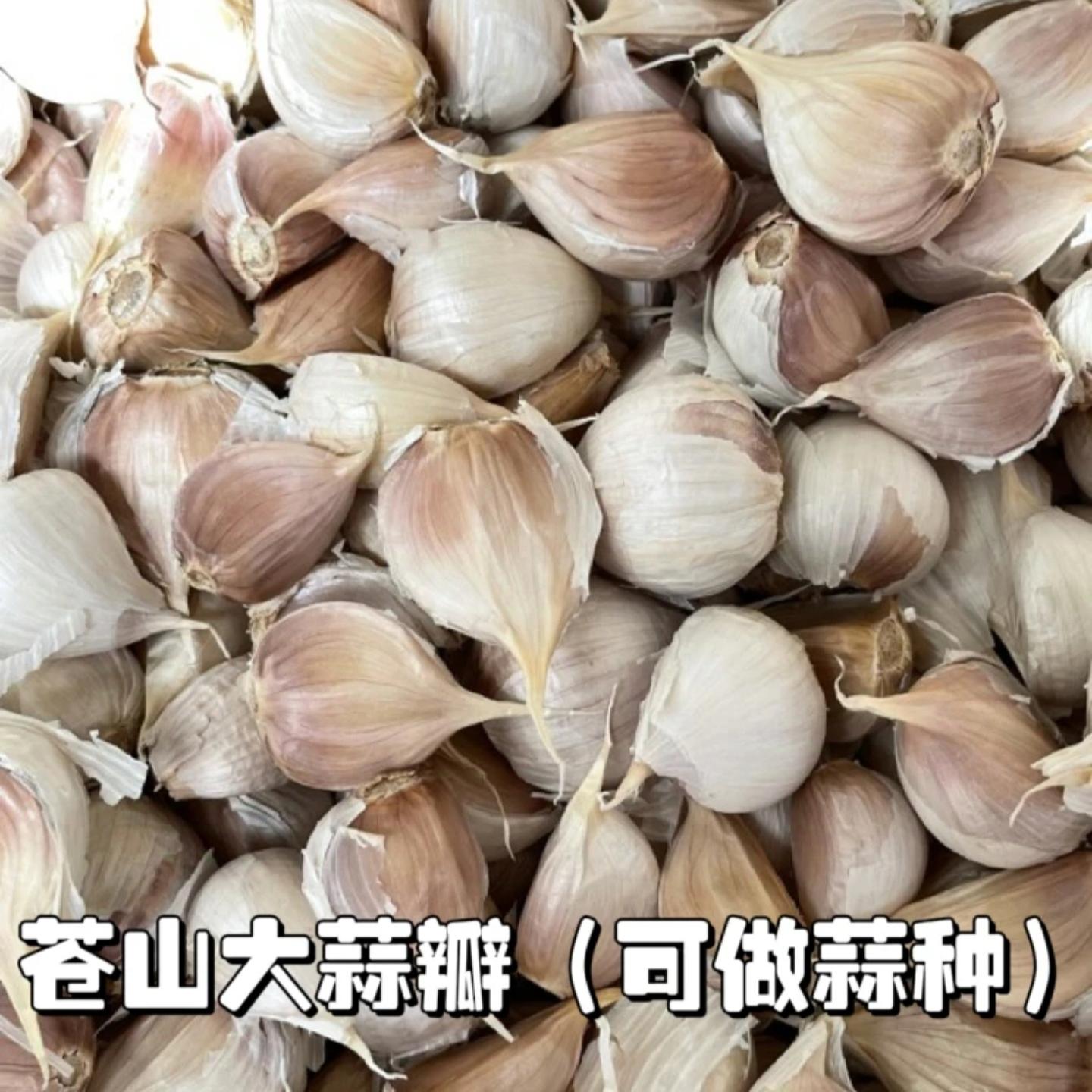 蒜苔是怎么长出来的
